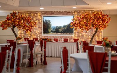 Wedding Venue Showcase at Roundwood | January 2026